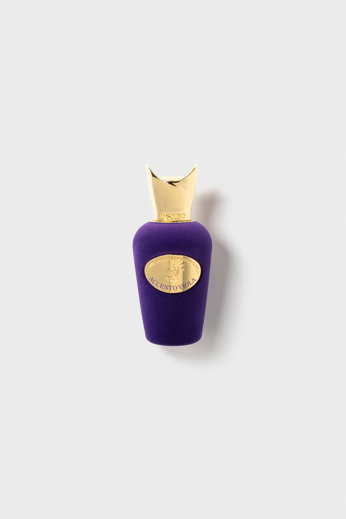 ACCENTO VIOLA